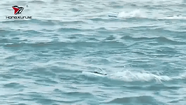 Barco hj808 accion 1