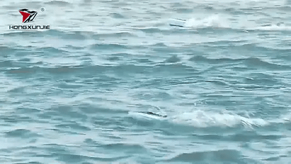 Barco hj808 accion 1