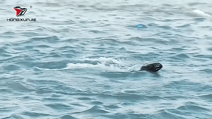 Barco hj808 accion 4