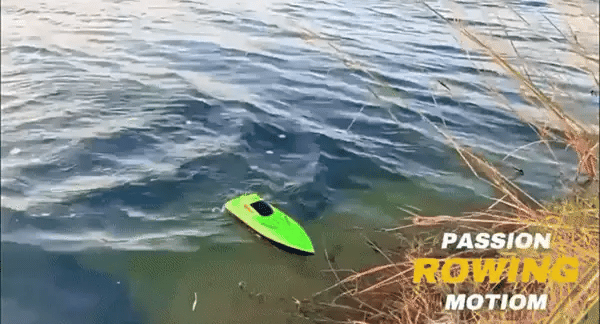 Barco rc speedy cr1990 accion 3