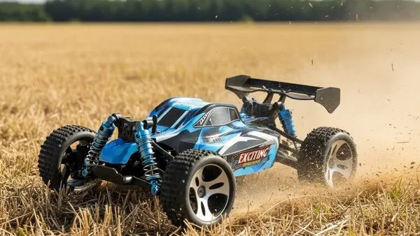 Buggy 4wd vista 6