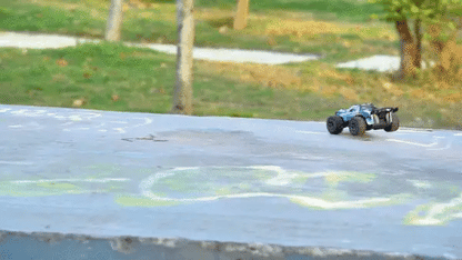 Sg318 mini accion 1