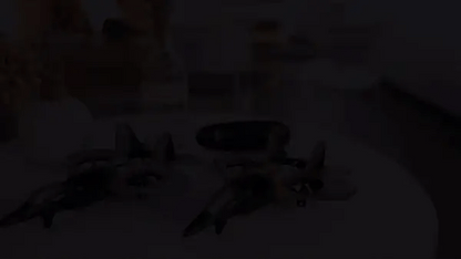 Stnrl raptor accion 3